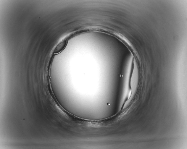 X0000086060799200704091227