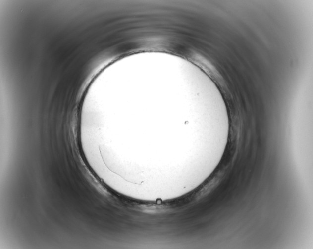 X0000086060804200704091227