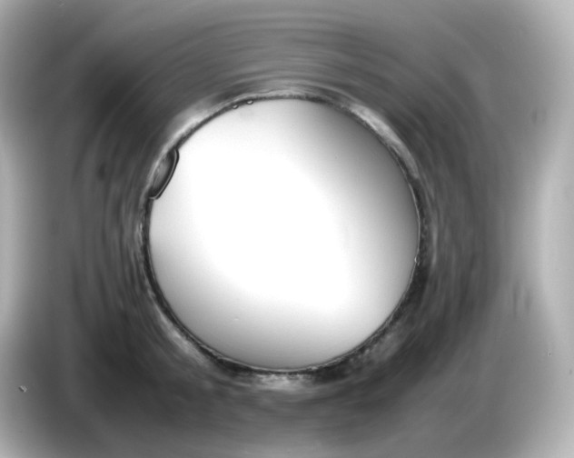 X0000086060805200704091227