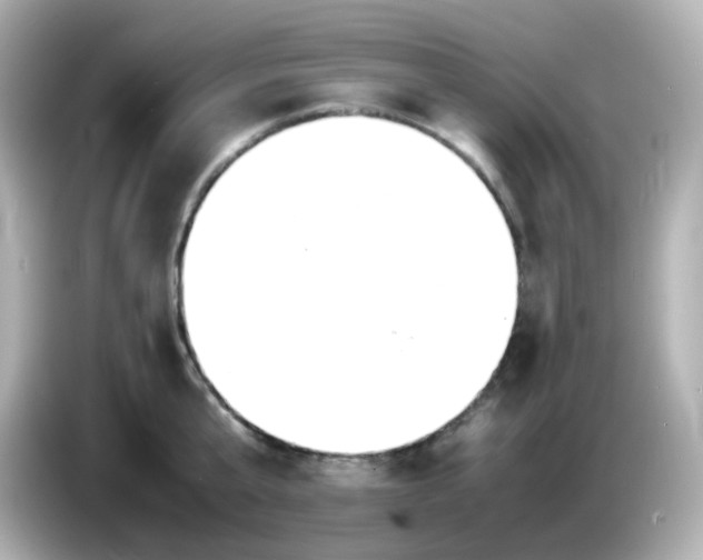 X0000086060807200704091227