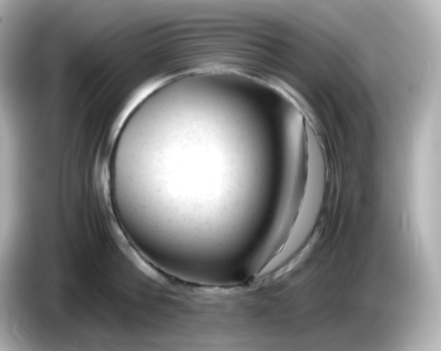 X0000086060812200704091227