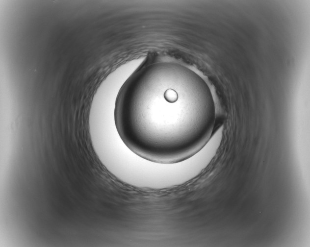 X0000086060818200704091226