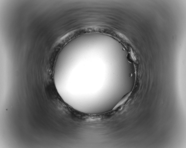 X0000086060822200704091226