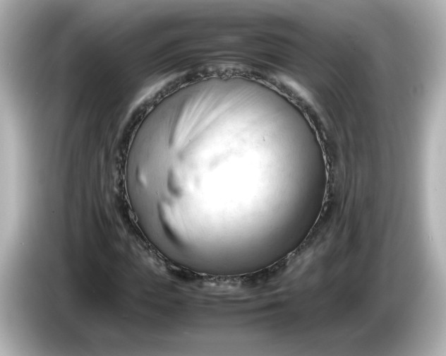 X0000086060823200704091226