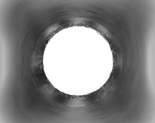 X0000086060824200704091226