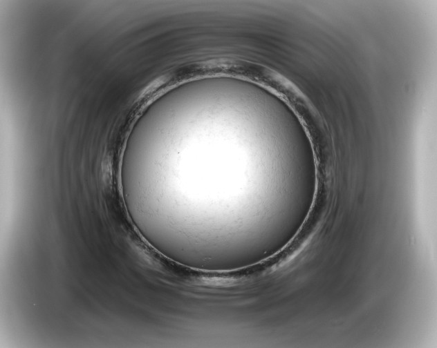 X0000086060825200704091226