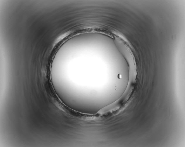 X0000086060826200704091226