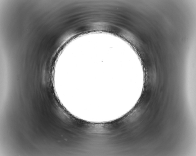 X0000086060828200704091226