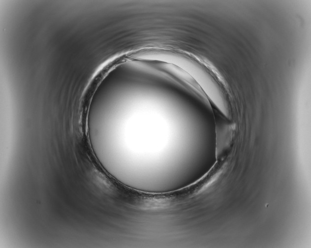 X0000086060830200704091226