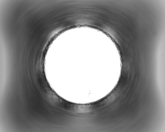 X0000086060832200704091226