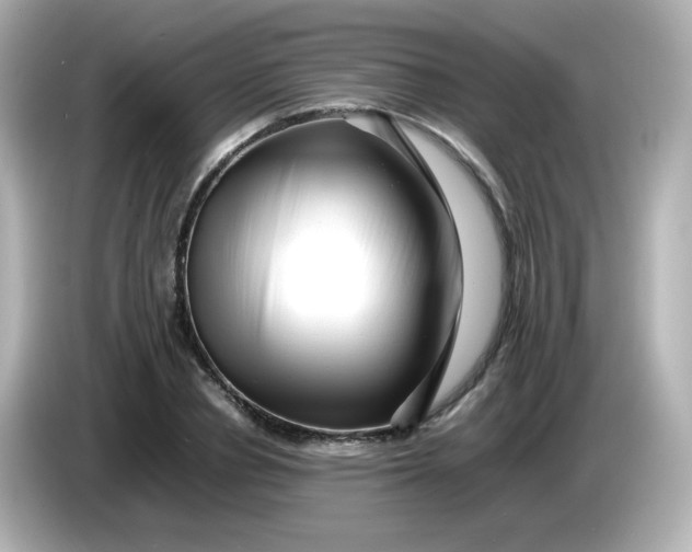 X0000086060834200704091226