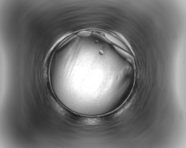 X0000086060835200704091226