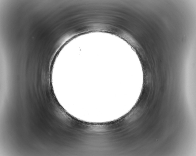 X0000086060836200704091226