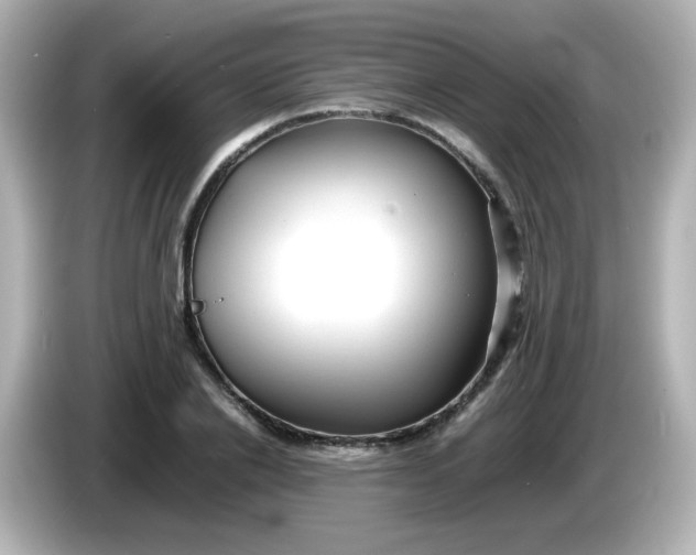 X0000086060838200704091226