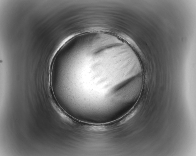 X0000086060844200704091227