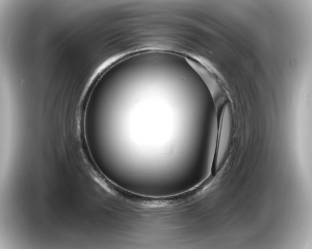 X0000086060846200704091227