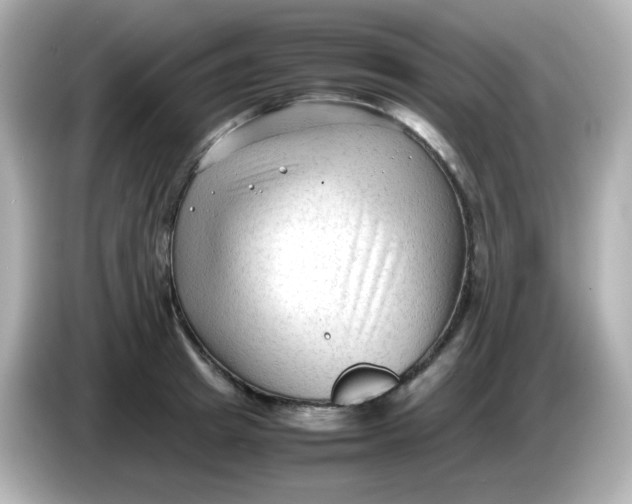 X0000086060849200704091227