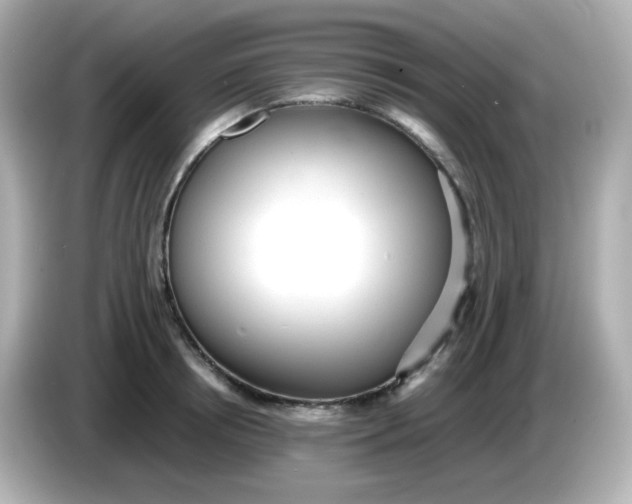 X0000086060850200704091227