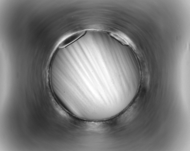 X0000086060854200704091227