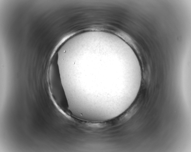 X0000086060855200704091227