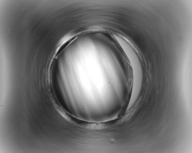 X0000086060858200704091227