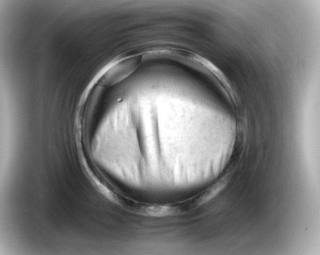 X0000086060859200704091227