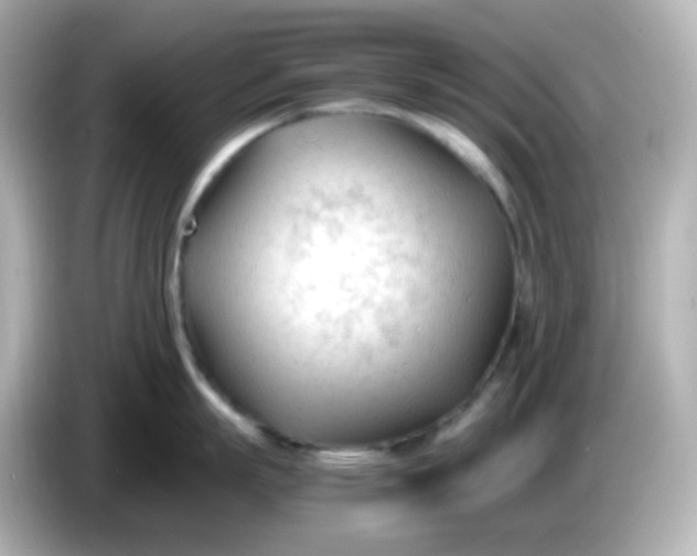 X0000086060863200704091227