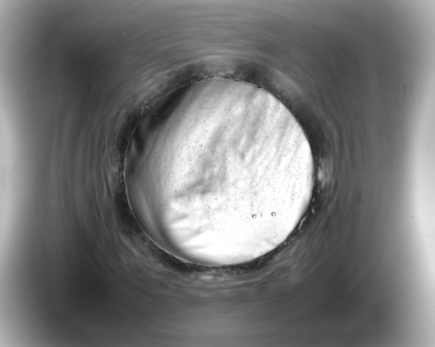 X0000086060867200704091226