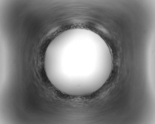 X0000086060869200704091226