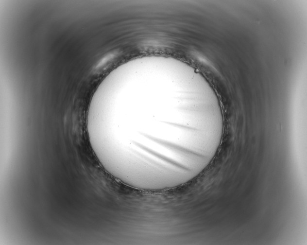 X0000086060870200704091226