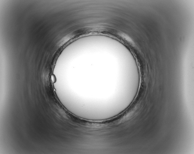 X0000086060873200704091226