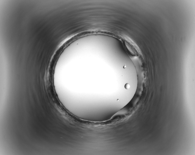 X0000086060876200704091226