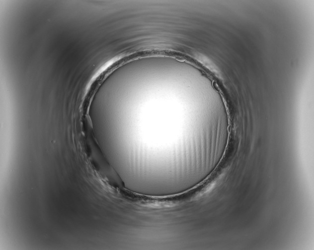 X0000086060877200704091226