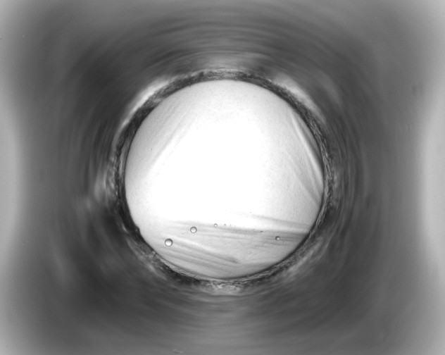 X0000086060878200704091226