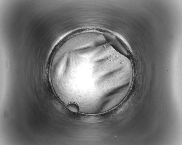 X0000086060879200704091226