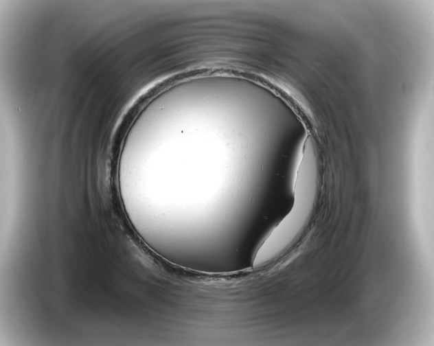 X0000086060880200704091226