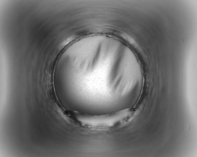 X0000086060881200704091226