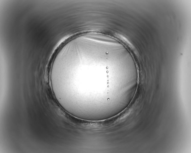 X0000086060883200704091226