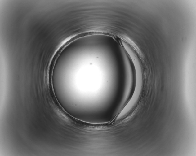 X0000086060884200704091226