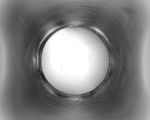 X0000086060886200704091226