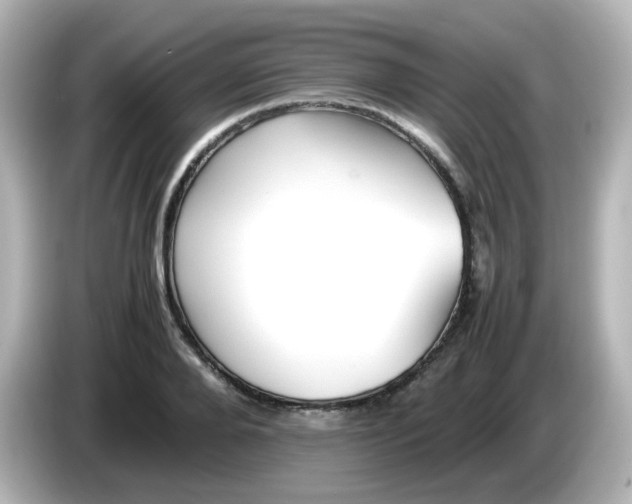 X0000086060888200704091226