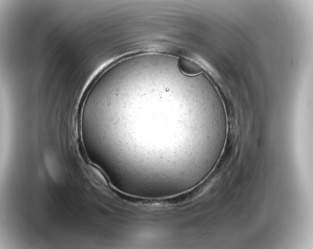 X0000086060891200704091226