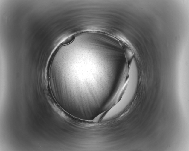 X0000086060892200704091226