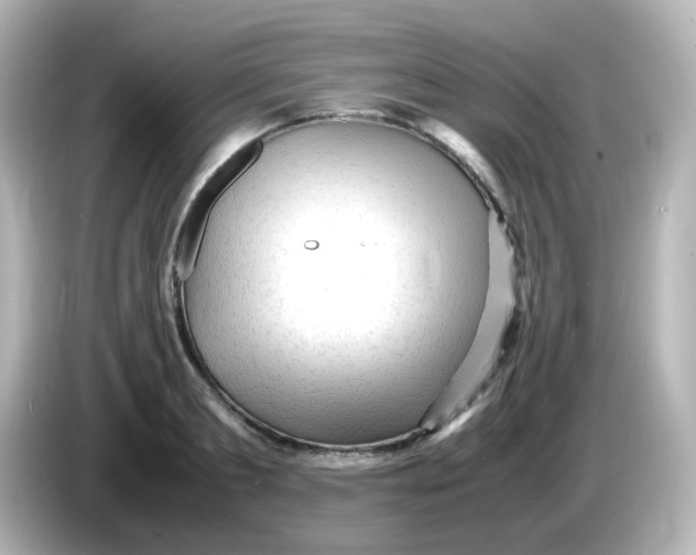 X0000086060893200704091226