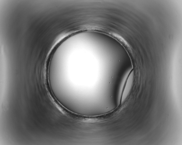 X0000086060894200704091226