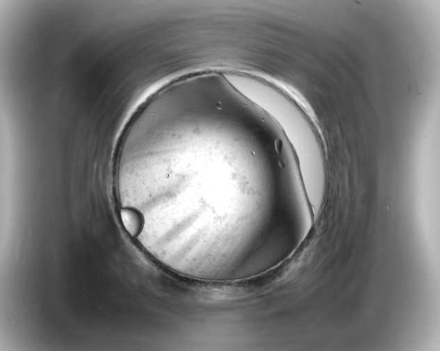 X0000086060895200704091226