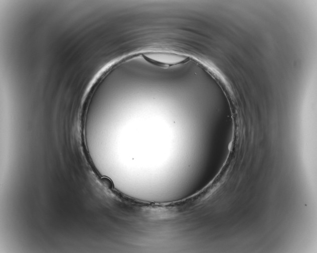 X0000086060896200704091226