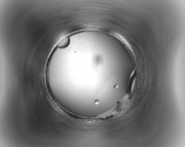 X0000086060899200704091226