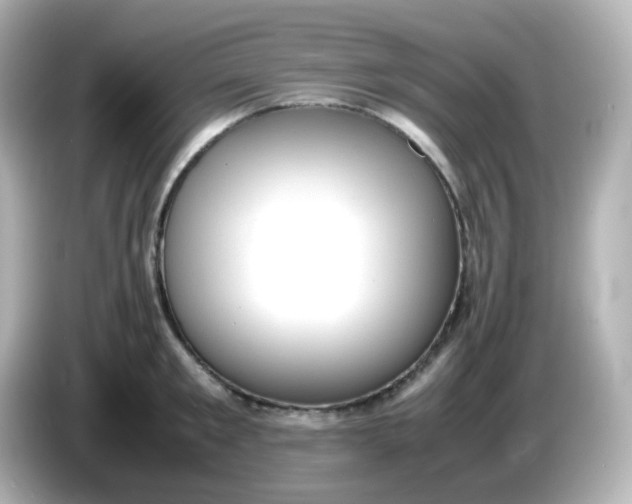 X0000086060901200704091226