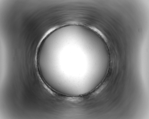 X0000086060902200704091226